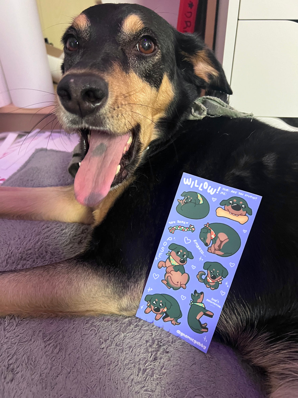 Willow the Dog Sticker Sheet